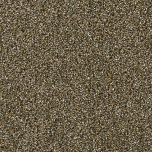 Primco - Estates Carpet - Majesty Collection - Vision