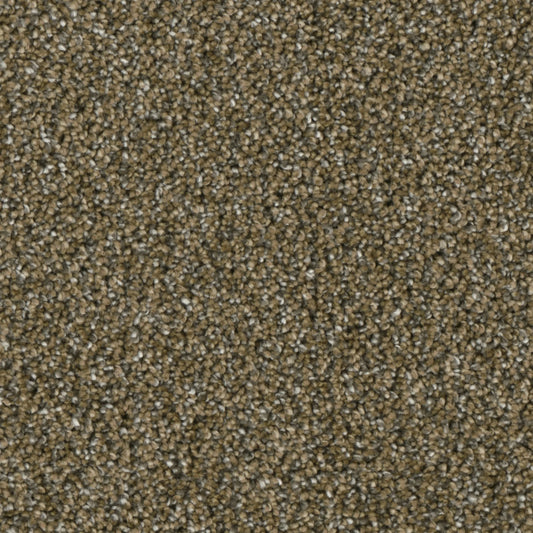 Primco - Estates Carpet - Grand Style Collection - Vision
