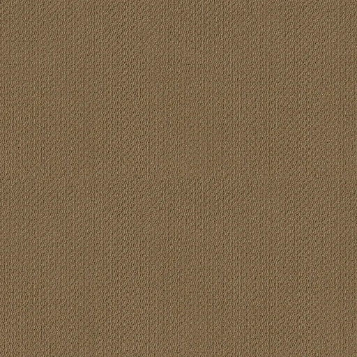 Shaw Floors - Carpet- Foundations Collection - Warmth