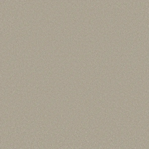 Shaw Floors - Carpet - Classics Collection  - Awaken Spirit I 12' - Whiskers