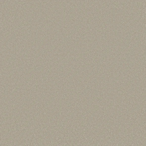 Shaw Floors - Carpet - Classics Collection  - Awaken Spirit I 12' - Whiskers