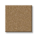 Shaw Floors - Carpet - Classics Collection  - Awaken Spirit II - 15'- Warm Brass