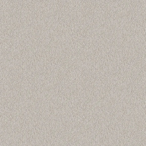 Shaw Floors - Carpet - Foundations Collection  - Alluring Canvas - Winters Dawn
