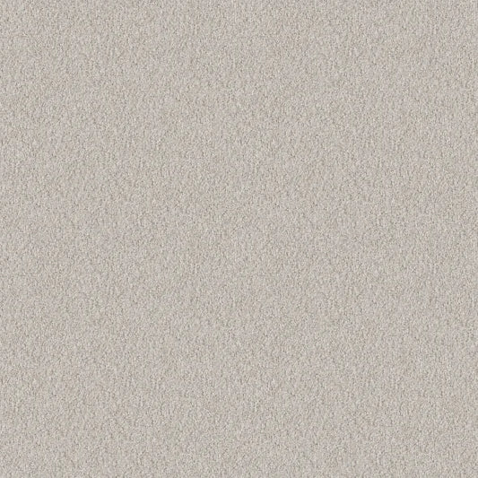 Shaw Floors - Carpet - Foundations Collection  - Alluring Canvas - Winters Dawn
