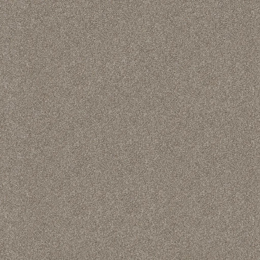 Shaw Floors - Carpet - Simply The Best  - Attainable - Winter Dunes