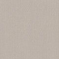 Shaw Floors - Carpet - Foundations Collection - Faint Intent - Winters Dawn