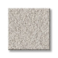 Shaw Floors - Carpet - Foundations Collection  - Alluring Canvas - Winters Dawn