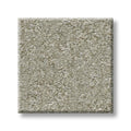 Shaw Floors - Carpet - Simply The Best  - Attainable - Winter Dunes