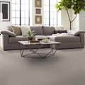 Shaw Floors - Carpet - Foundations Collection - Faint Intent - Winters Dawn