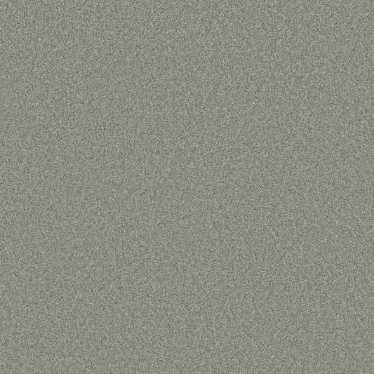 Shaw Floors - Carpet- Foundations Collection - HARMONIOUS II - Water's Edge
