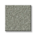 Shaw Floors - Carpet- Foundations Collection - HARMONIOUS II - Water's Edge
