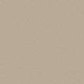 Shaw Floors - Carpet - Classics Collection  - Awaken Spirit I 12' - Windfresh