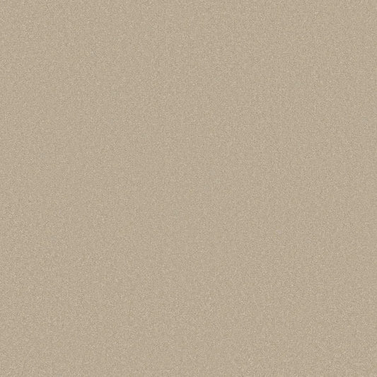 Shaw Floors - Carpet - Classics Collection  - Awaken Spirit I 12' - Windfresh