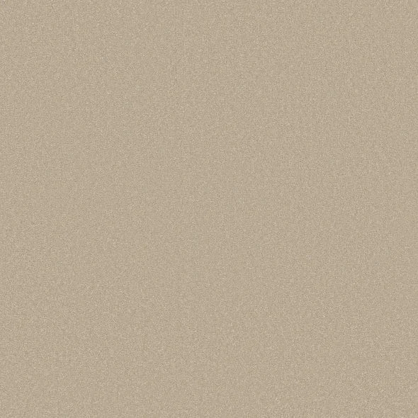 Shaw Floors - Carpet - Classics Collection  - Awaken Spirit I 12' - Windfresh