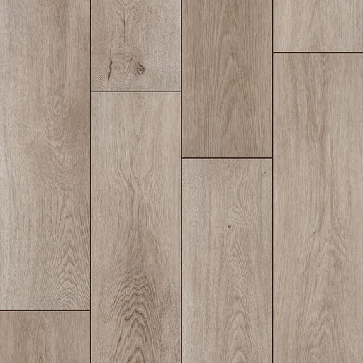 MSI Surfaces - XL Prescott Collection - Whitfield Gray