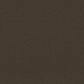 Shaw Floors - Carpet - Classics Collection  - Awaken Spirit I 12' - Wood Grain