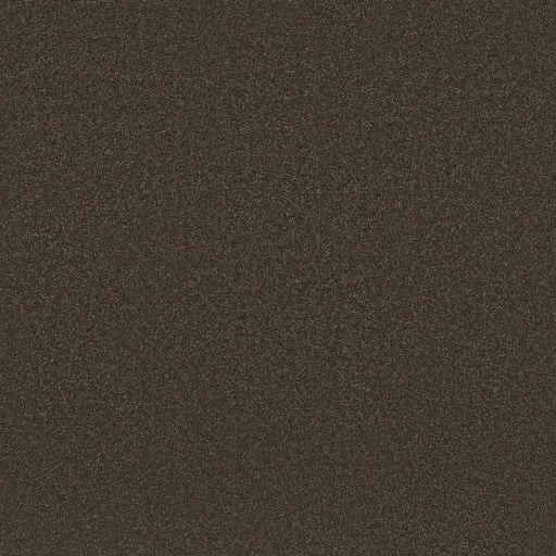 Shaw Floors - Carpet - Classics Collection  - Awaken Spirit I 12' - Wood Grain