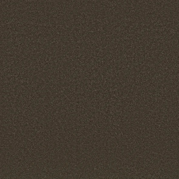 Shaw Floors - Carpet - Classics Collection  - Awaken Spirit I 12' - Wood Grain
