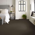 Shaw Floors - Carpet - Classics Collection  - Awaken Spirit I 12' - Wood Grain