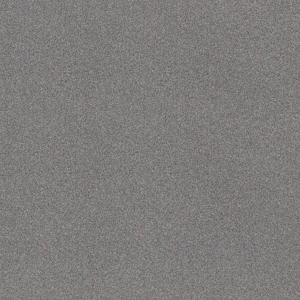 Shaw Floors - Carpet - COMFORTING I - Wet Rock