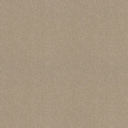 Shaw Floors - Carpet - COMFORTING I - Wild Rice