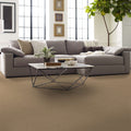 Shaw Floors - Carpet- Foundations Collection - Warmth