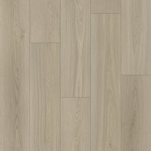 TAIGA - HydroXpert Collection - White Clay