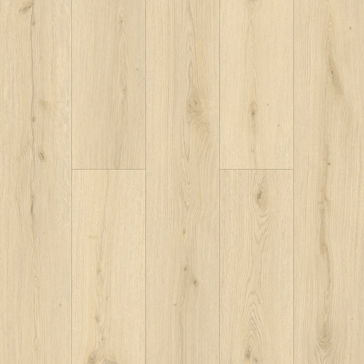 TAIGA - HydroXpert Collection - Wild Oak