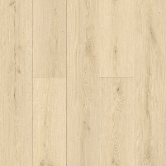 TAIGA - HydroXpert Collection - Wild Oak