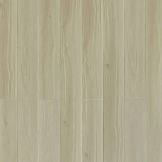 Toucan - SPC912 - Windstorm