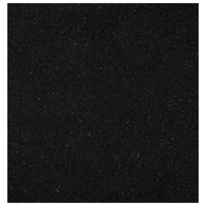 OLYMPIA TILE + STONE - Granite Series - Tile - Black Galaxy - 12" x 24"