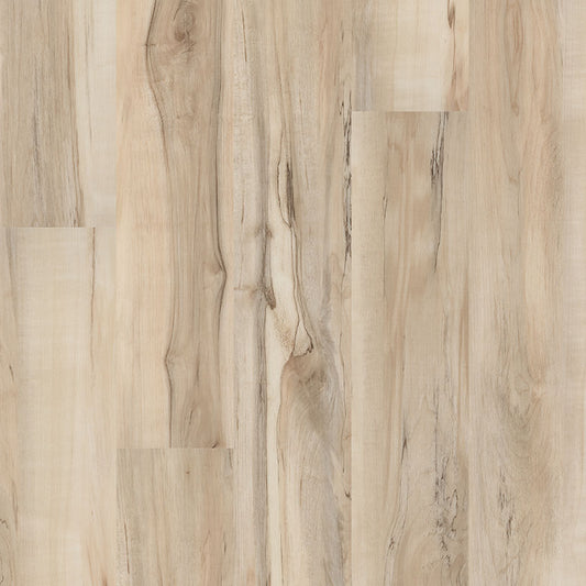MSI Surfaces - Cyrus® 2.0TM - Akadia