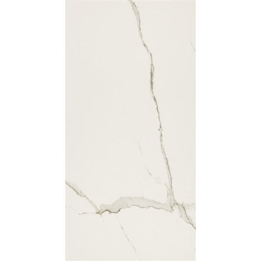 OLYMPIA TILE + STONE - Everlast Series - Porcelain Tile - Albatros - 12" x 24"