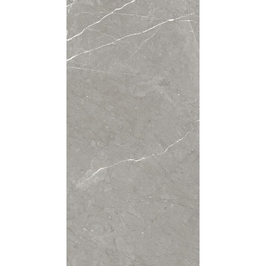 OLYMPIA TILE + STONE - Rhapsody Series - Porcelain Tile - Allure - 24" x 48"