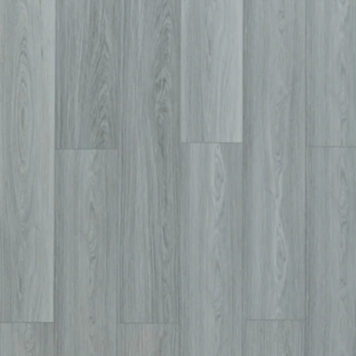 Toucan - TFSPC - 605-F -  Amsterdam