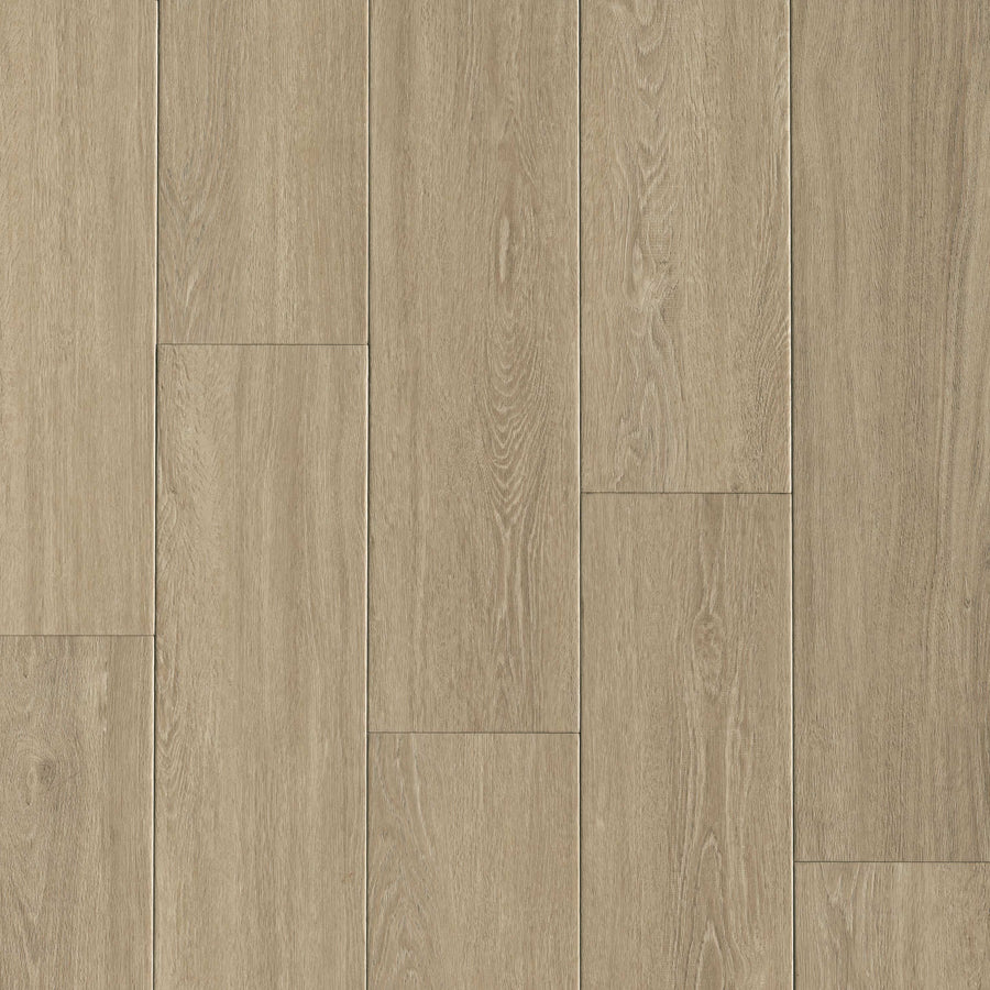 MSI - Wayne Parc™ Collection - Andaz - 9” x 60”
