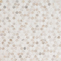 MSI - Natural Stone Collection - Angora Tibi Polished - 1"