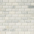 MSI - Arabescato Carrara Subway Tile - 2"x4"