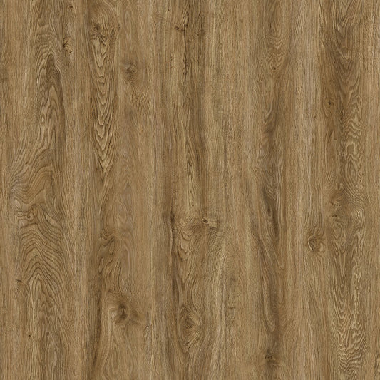 MSI Surfaces - Ashton™ Collection - Colston Park