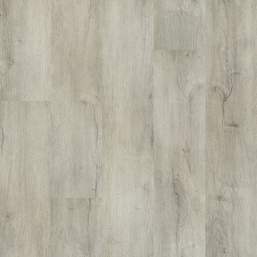 MSI Surfaces - Ashton™ Collection - York Gray