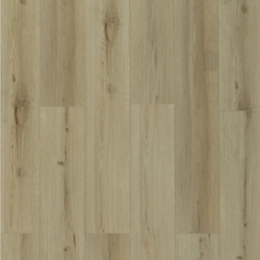 Toucan - TFSPC - 610-F - Athens