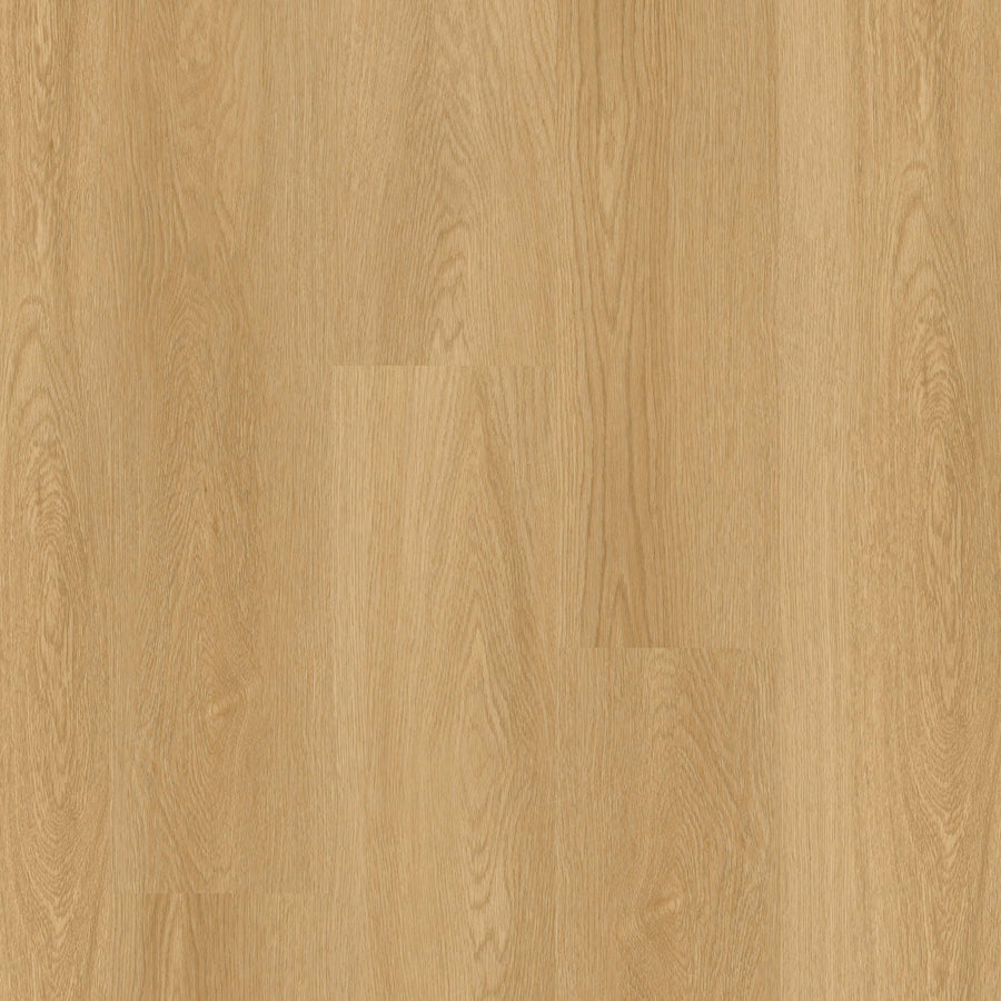 MSI - Nove Plus Collection - Bayside Buff - 9" x 48"