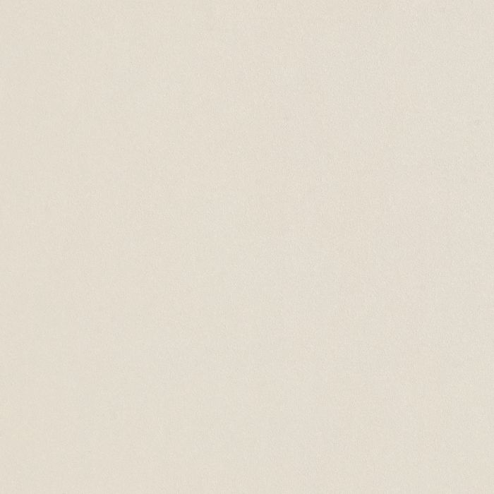 OLYMPIA TILE + STONE - Unicolour Series - Porcelain Tile - Beige - 24" x 24"