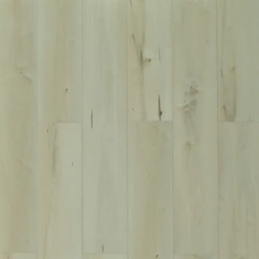 Toucan - TFSPC - 612-F - Belgrade