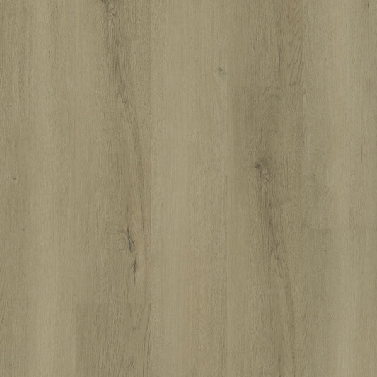 MSI Surfaces - Ashton 2.0 ™ Collection - Benton Blonde