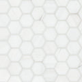 MSI - Bianco Dolomite Collection - 2" Hexagon - Polished Finish