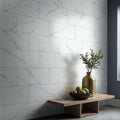 MSI - ROMAN STATUARIO  MATTE - Tile - 12" x 24"