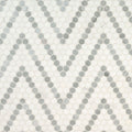 MSI - Bianco Dolomite Collection - Bianco Dolomite Sazi Polished - 1"