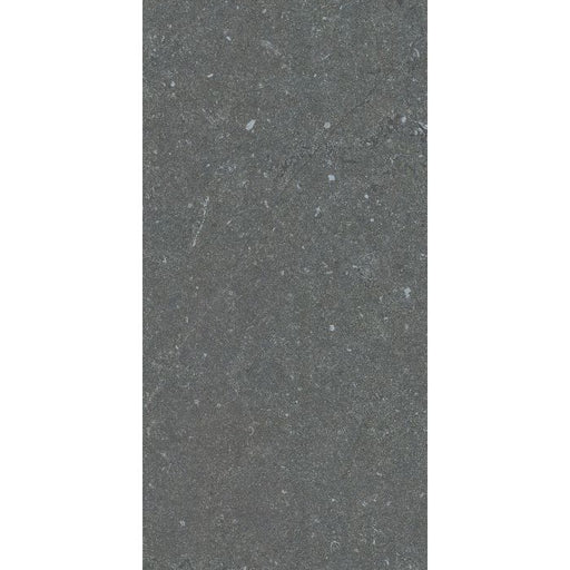 OLYMPIA TILE + STONE - Empire Stone Series - Porcelain Tile - Black - 12" x 24"