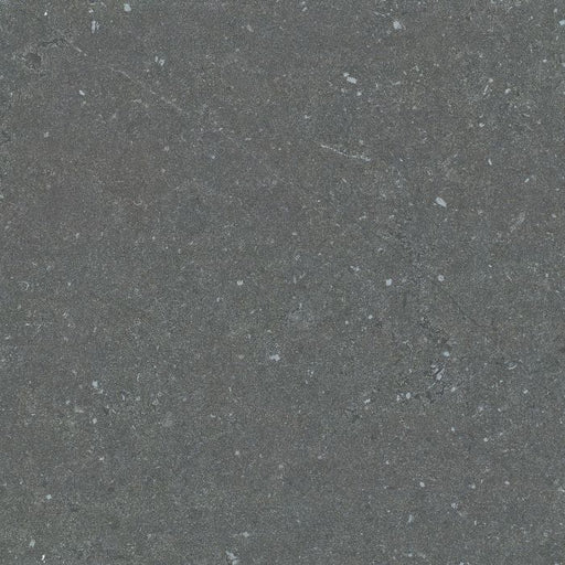 OLYMPIA TILE + STONE - Empire Stone Series - Porcelain Tile - Black - 24" x 24"